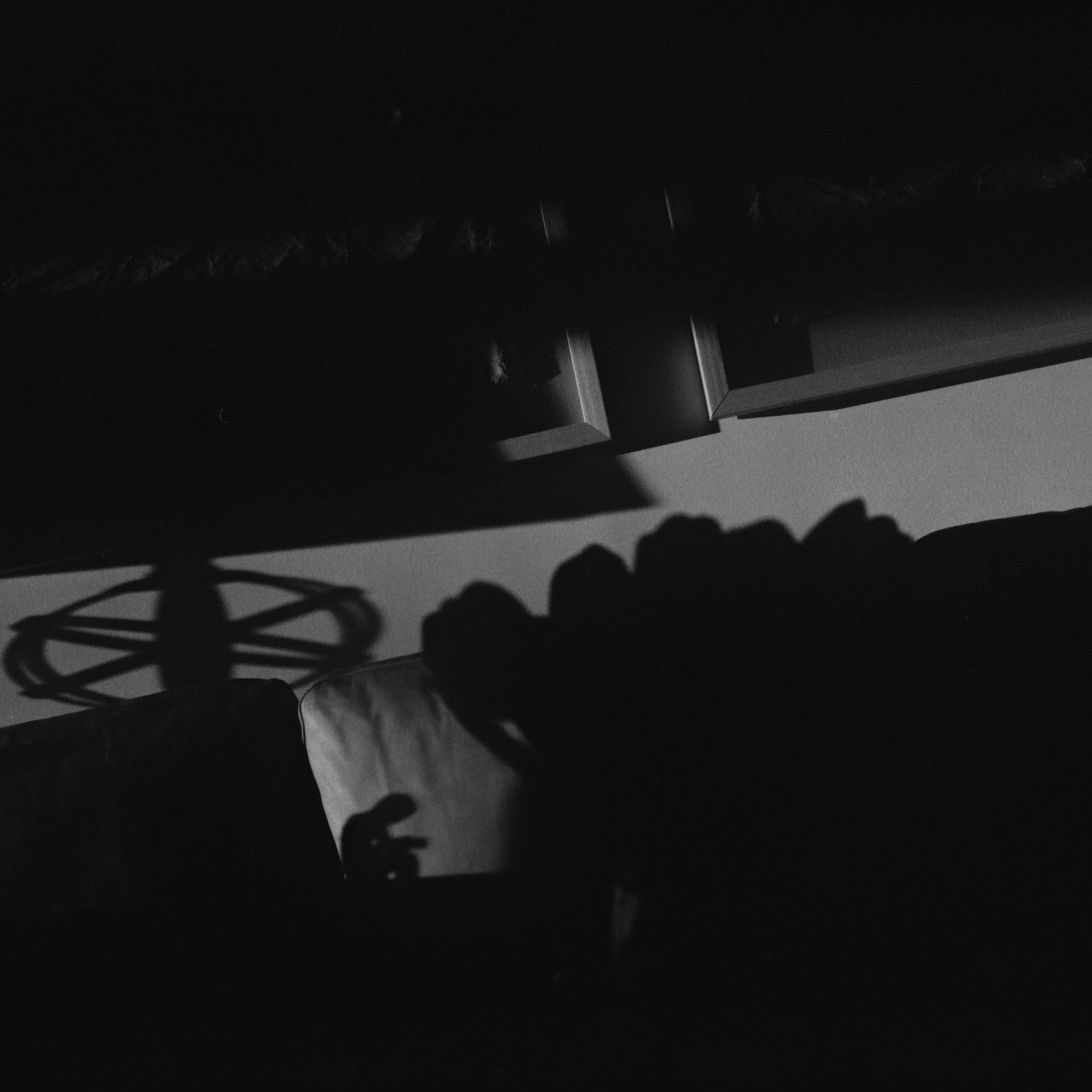 L1008831.jpeg