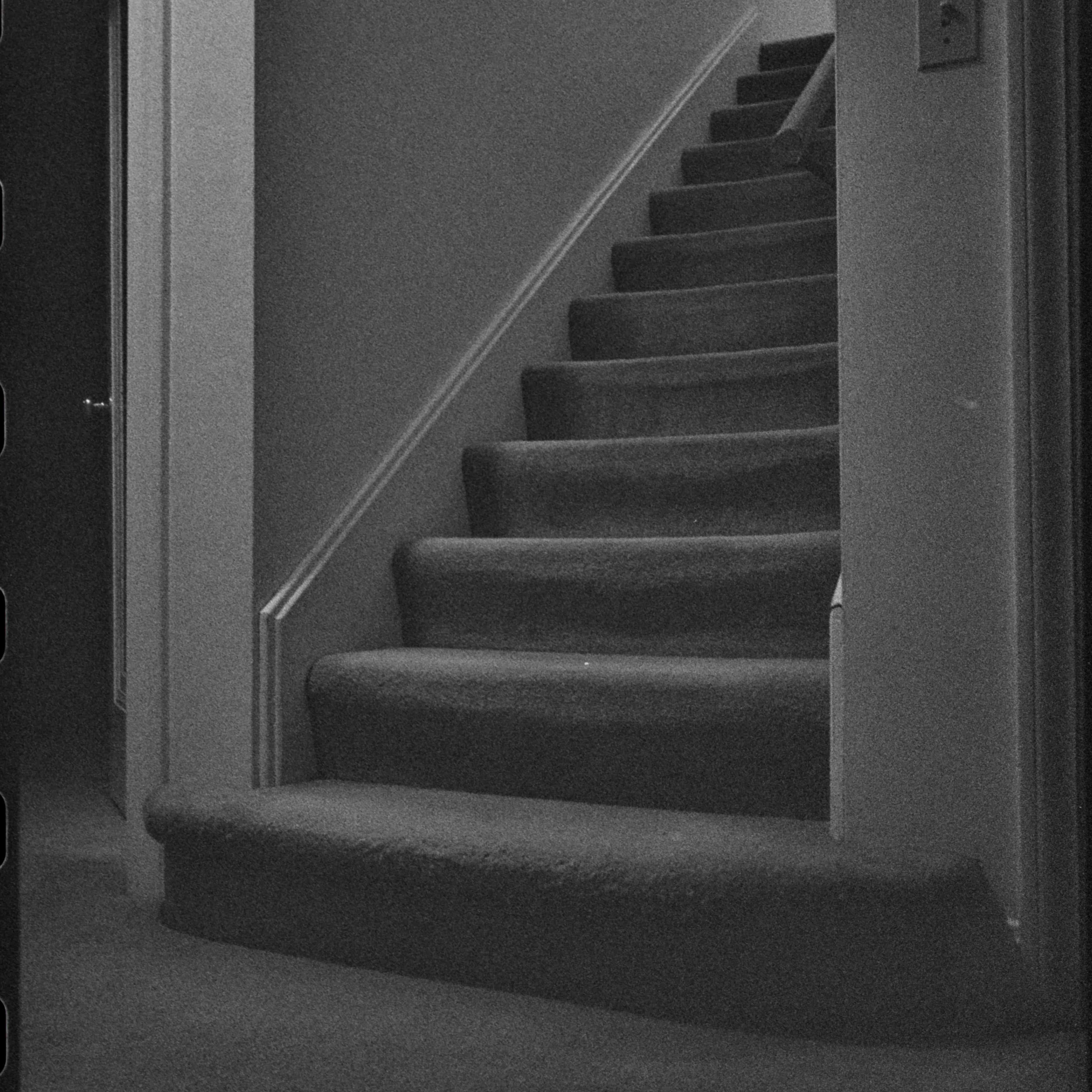 L1008860.jpeg