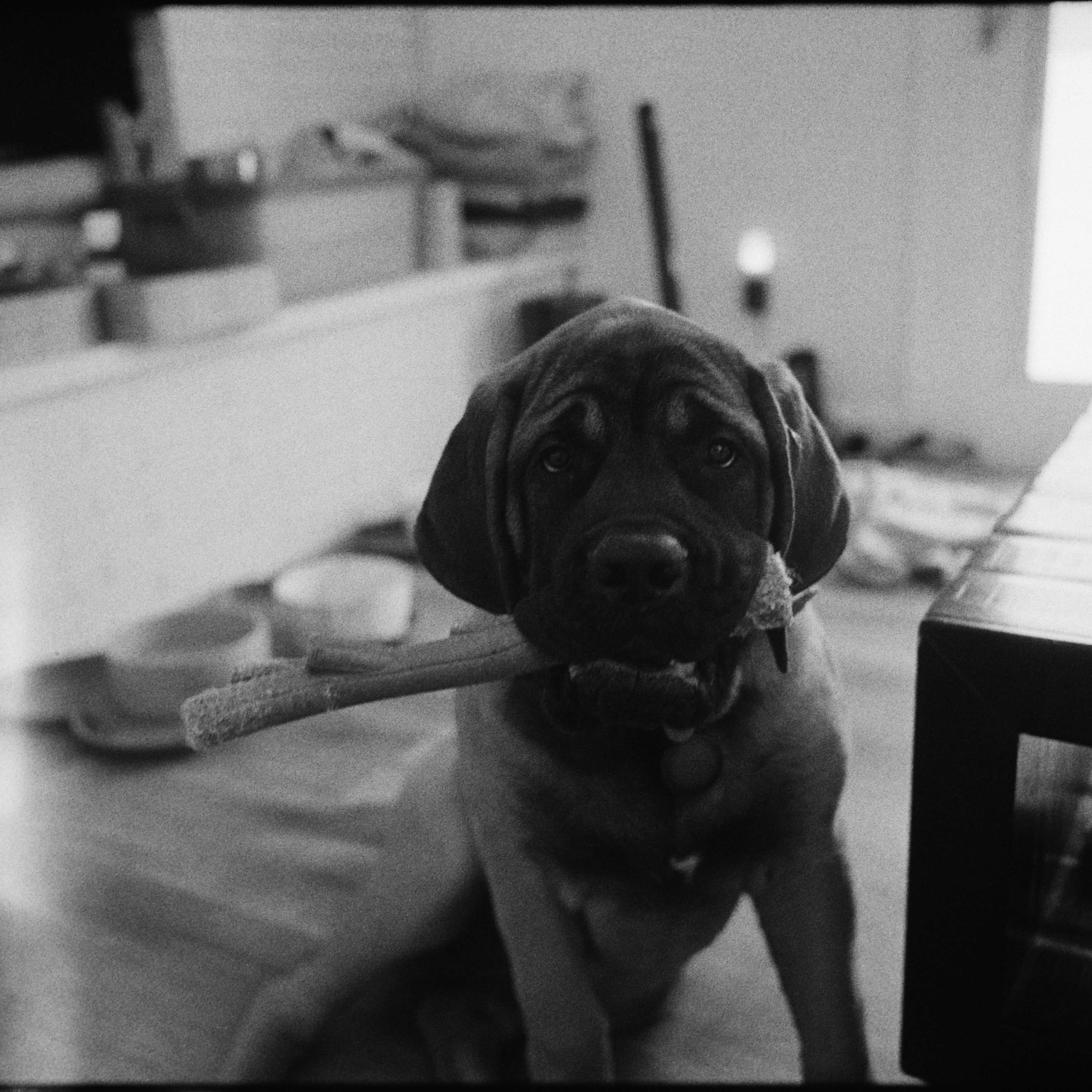 L1008867.jpeg
