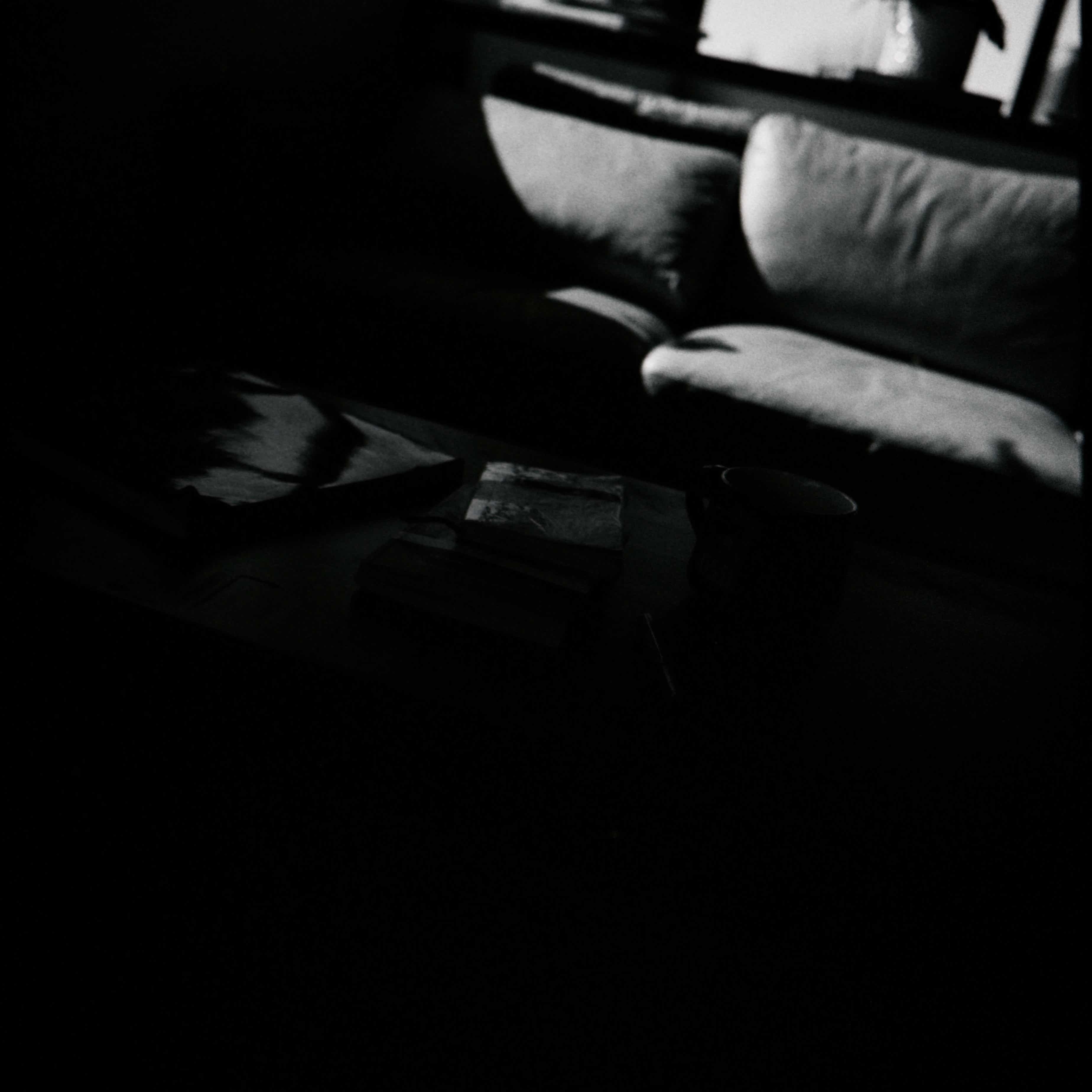 L1009021.jpeg