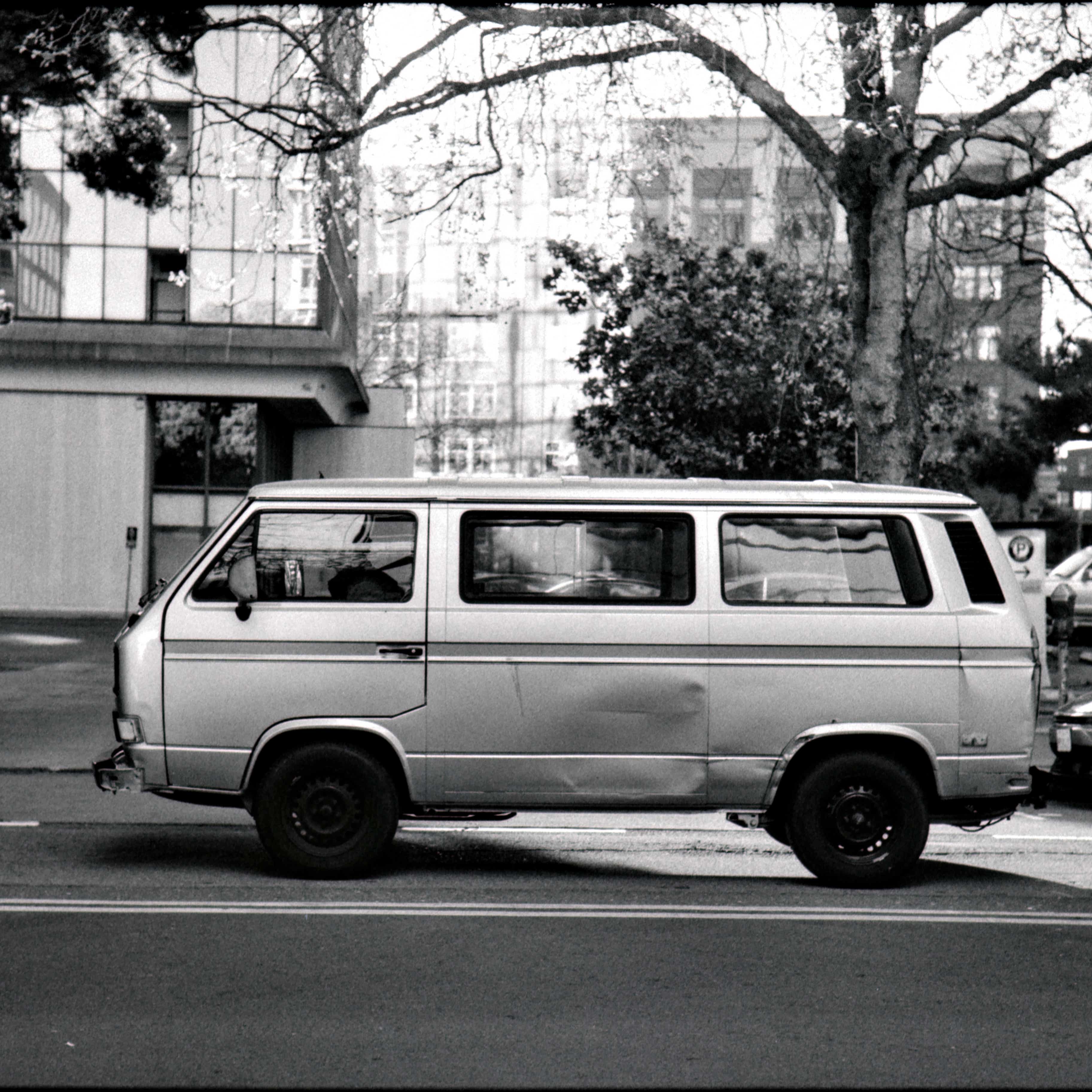 L1009003.jpeg