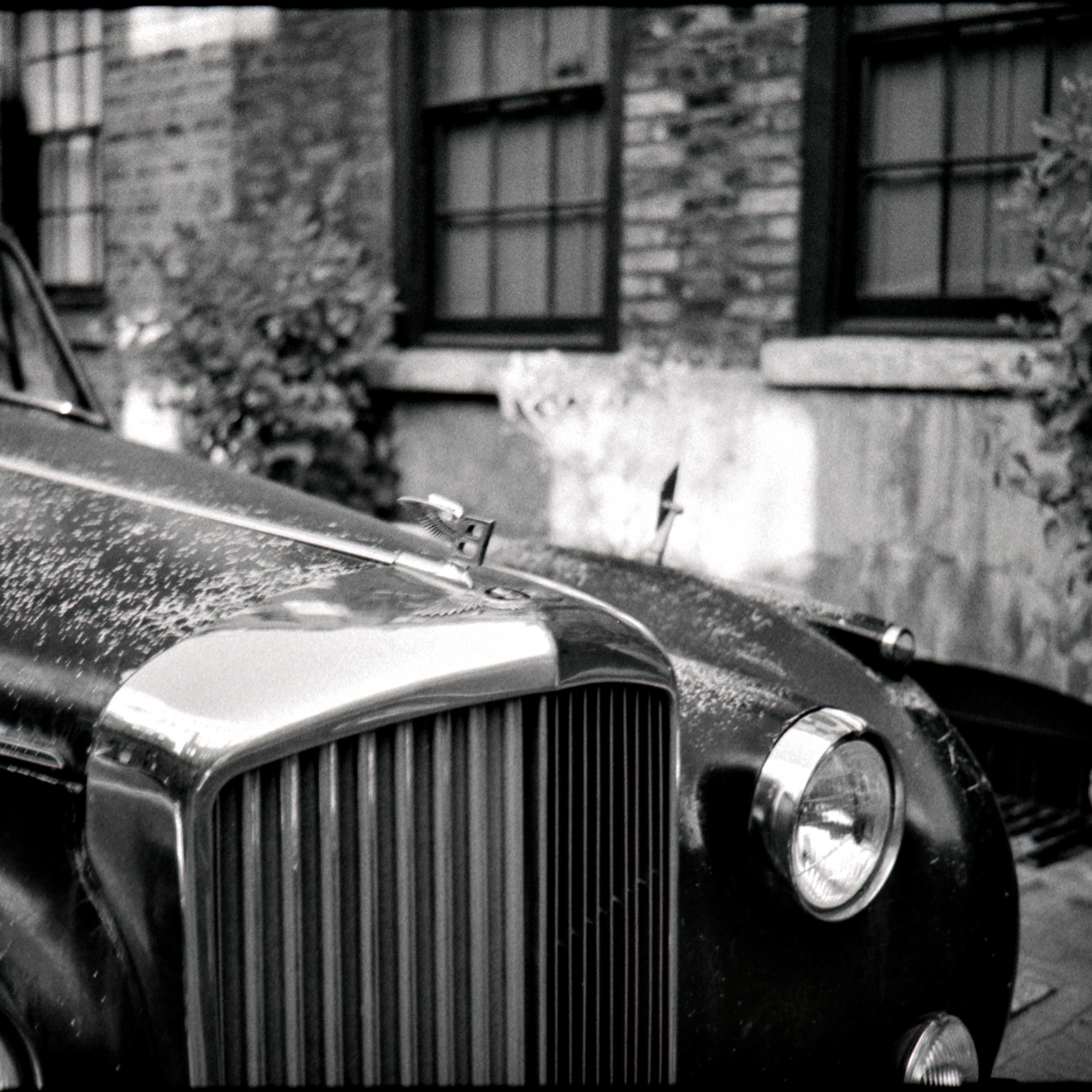 L1009012.jpeg