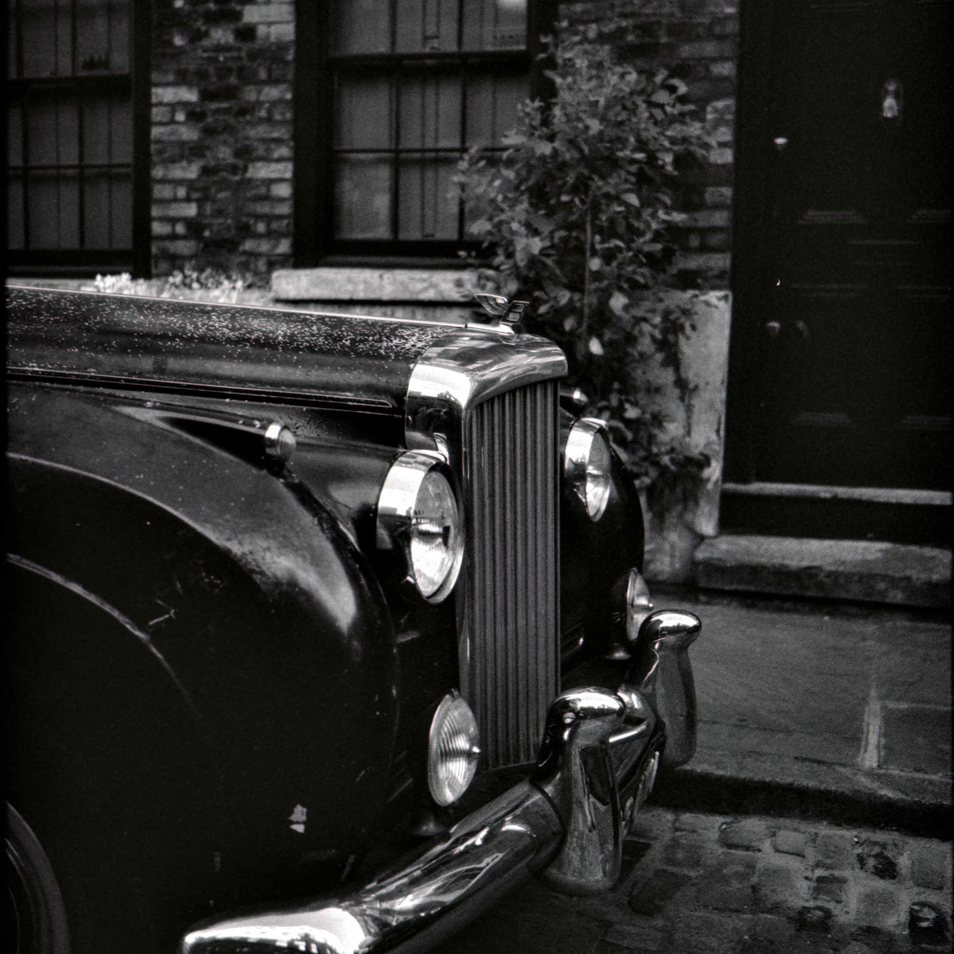 L1009013.jpeg