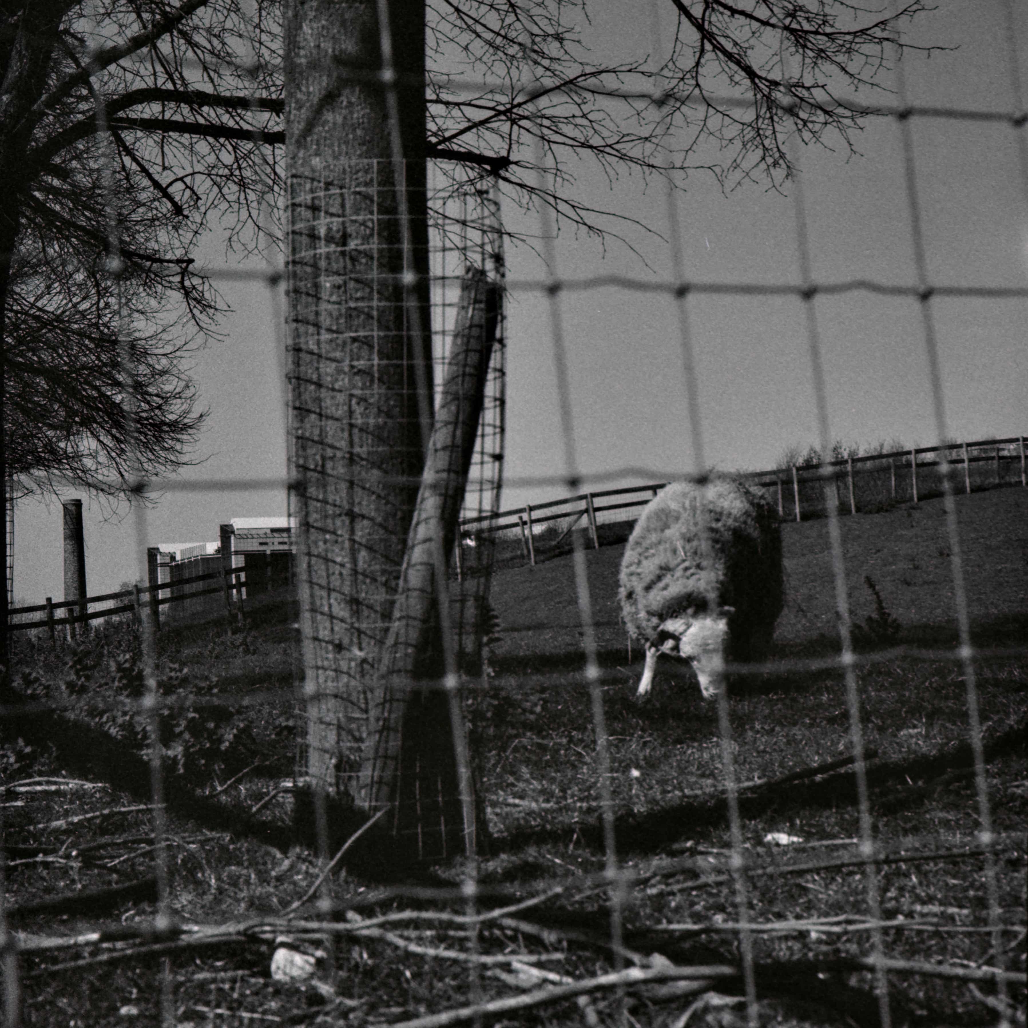 L1009019.jpeg