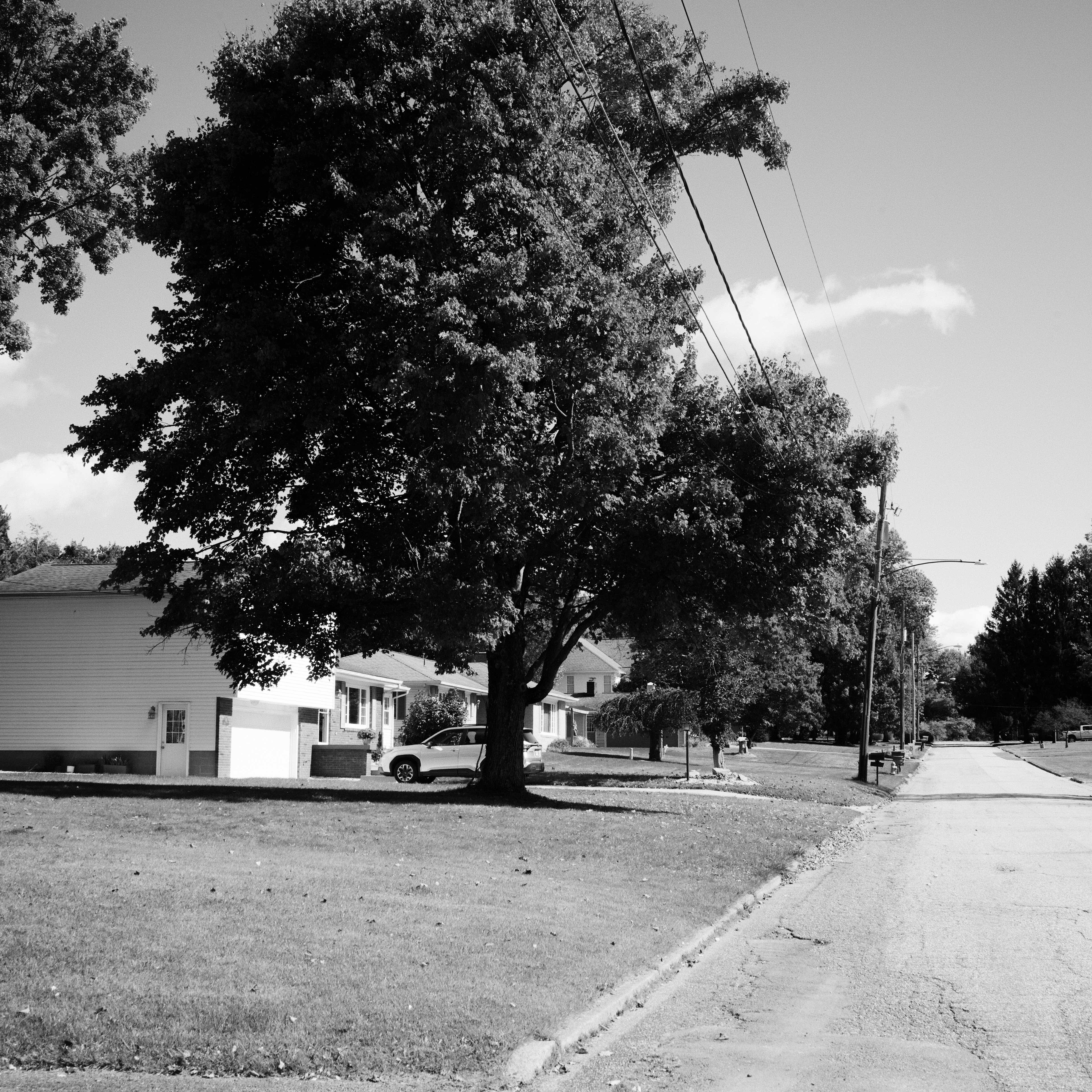 L1008947.jpeg