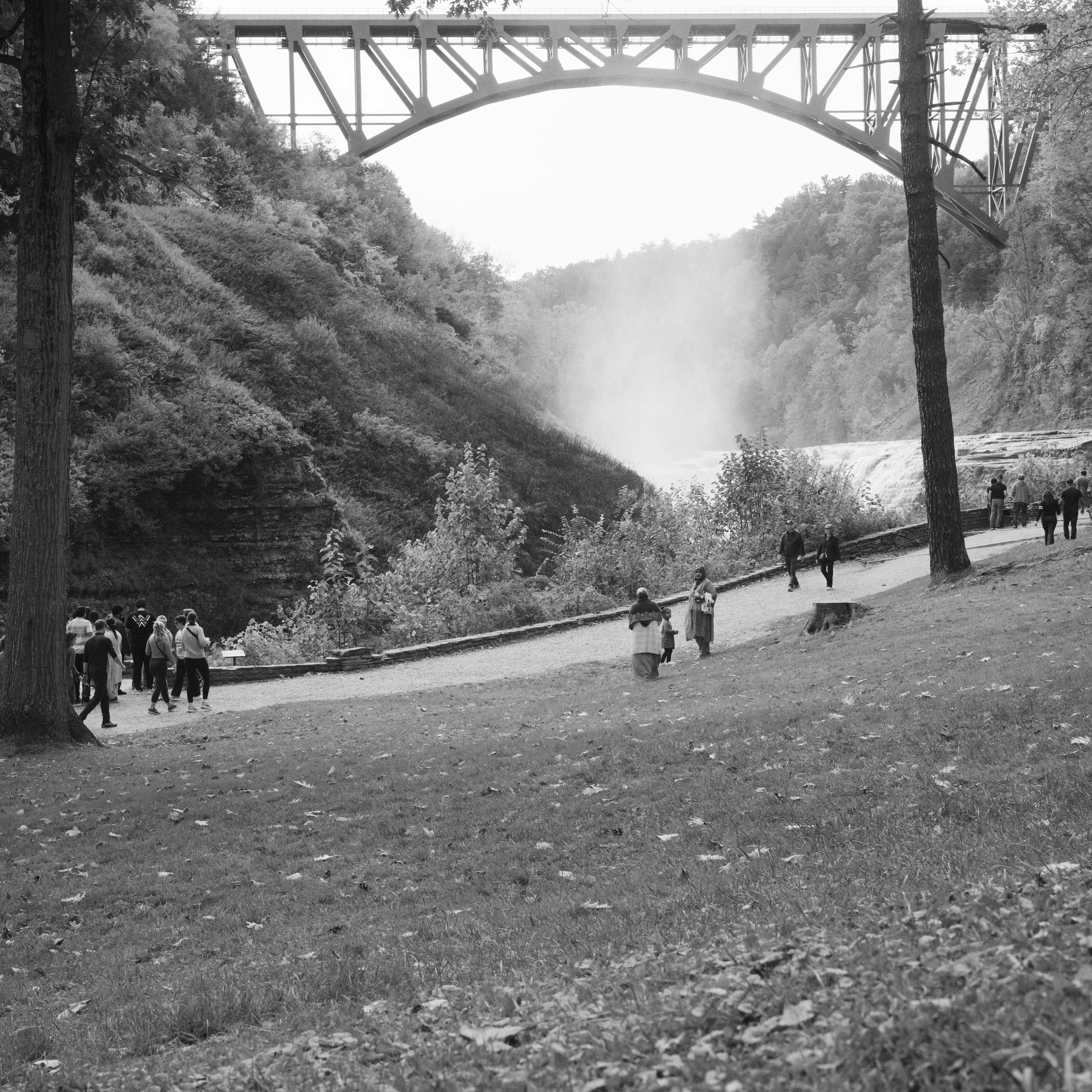 L1009089.jpeg