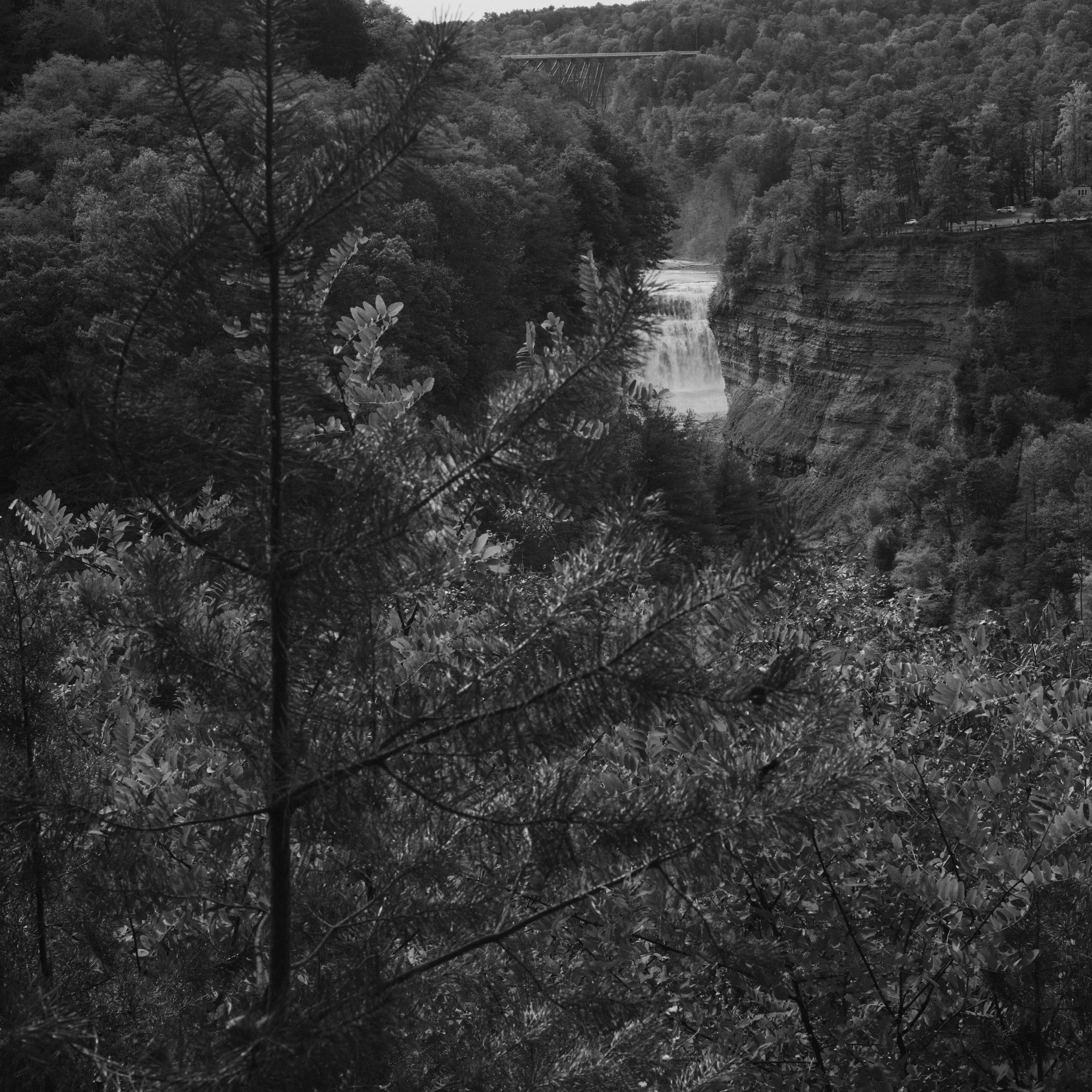 L1009093.jpeg