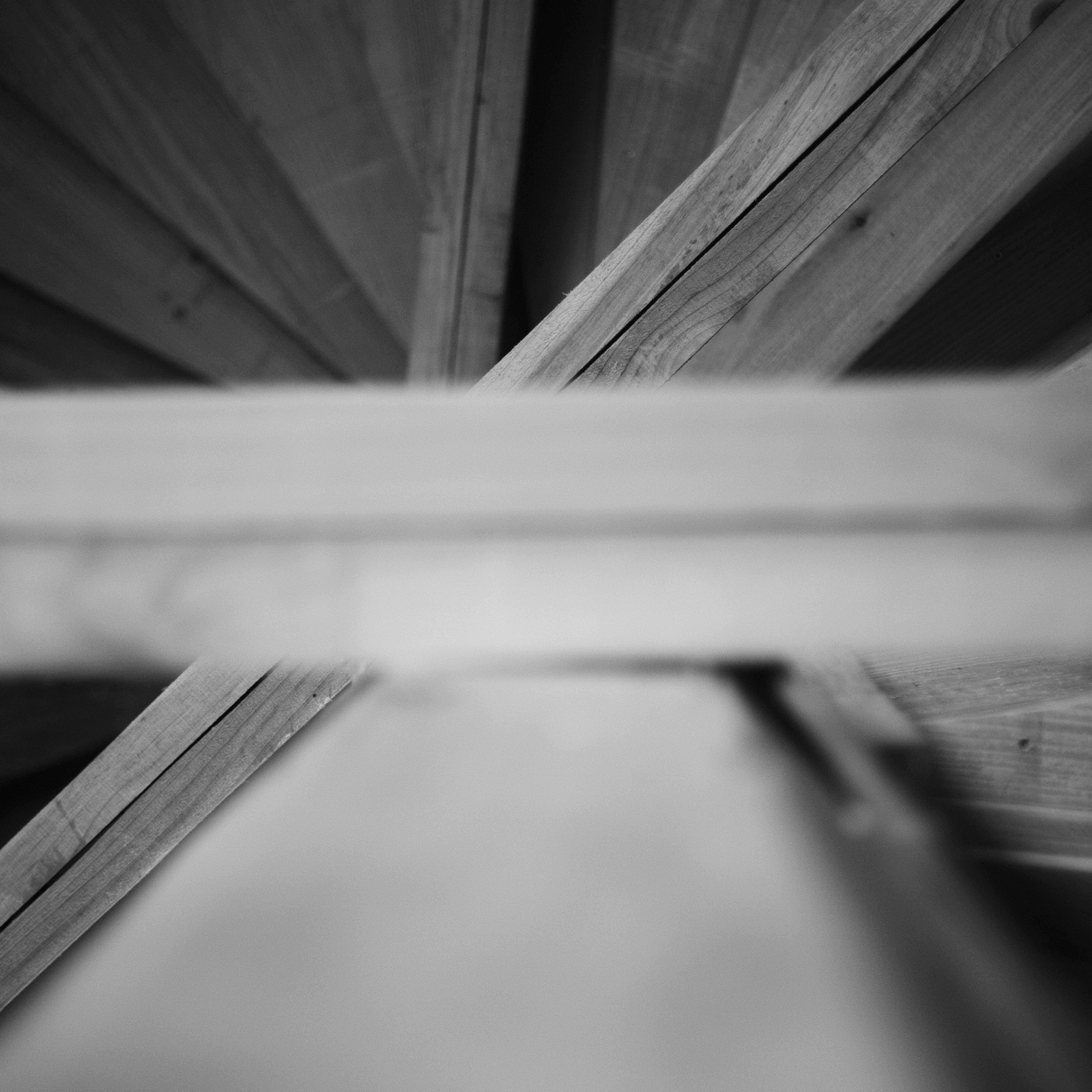 L1009097.jpeg